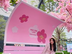 -东莞松山湖万象汇