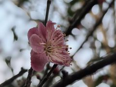 -木塔寺遗址生态公园