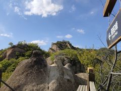 -大岭沟猕猴桃谷风景区