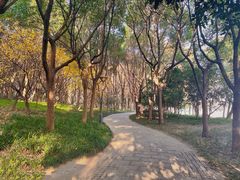 -高子水居
