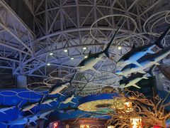 -烟台海昌鲸鲨海洋公园