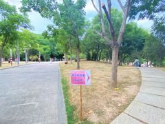 -牛岗山公园