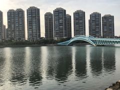 -五缘湾湿地公园