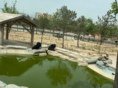 -太原动物园