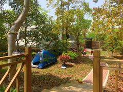 -上海海湾国家森林公园