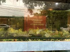 -真浪大家乐海鲜餐馆