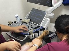 -瑞鹏·疫苗·绝育·宠物医院(金沙洲店)
