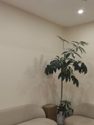 -HEYAN荷妍专业脱毛连锁机构