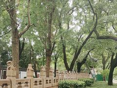 -汇龙潭