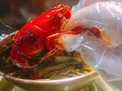 -沪小二炭火蛙锅(淮海中路美食不夜城店)