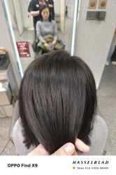 点击看大图 -藤野造型