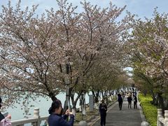 -苏州独墅湖世尊酒店