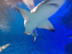 -石林冰雪海洋世界