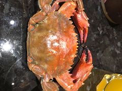 -川骄海鲜自助(河东店)