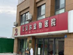 -艾贝尔宠物医院 ·内科全科(梁溪路店)