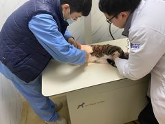 -宠颐生贝利健动物医院(谢家湾分院)