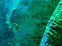 -沈阳海洋探索中心