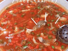 -尽膳·鱼鲜川菜(宽窄巷子店)