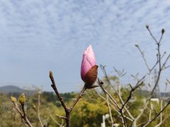 -中国移动南方基地