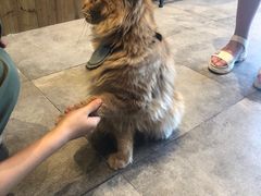 -凯德广场(武胜路店)