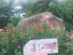 -鹅湖玫瑰文化园