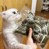 她家开的豆米火锅店 水西芸