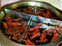 锅底-大龙火锅(老店)