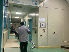 -北京观赏动物医院·24小时大型综合·猫专科·异宠专科