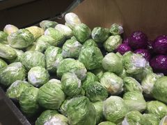 -T11生鲜超市(朝阳公园店)