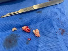 -西安交通大学口腔医院(主院区)