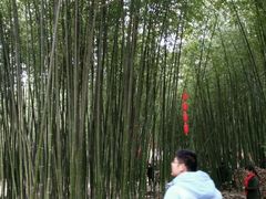 -竹泉村旅游度假区