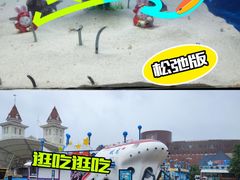 -烟台海昌鲸鲨海洋公园