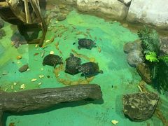 -重庆欢乐海底世界