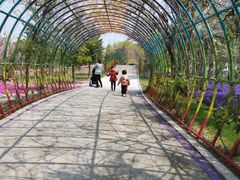 -南通洲际绿博园