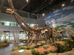 -自贡恐龙博物馆