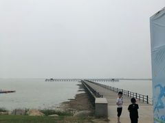 -江苏省泗阳县成子湖旅游度假区综合服务中心-停车场
