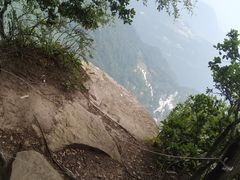 -云顶茶乡景区