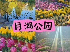 -月湖公园