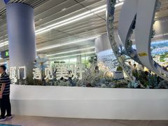 -厦门邮轮中心厦鼓码头(轮渡站)