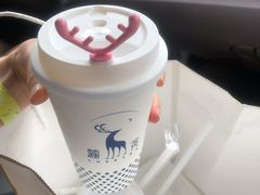 -麓茶