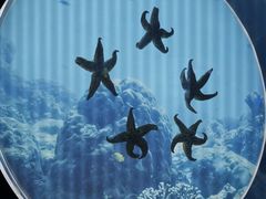 -上海中国航海博物馆