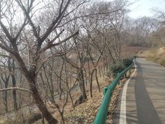 -南京老山国家森林公园