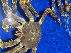 -三亚火车头万人海鲜广场