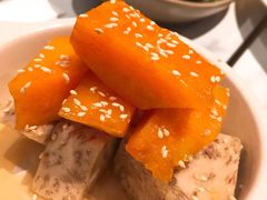 -MR鹅外