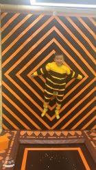 -卡通尼·Safari非洲探索乐园·生日会(金桥国际商业广场店)