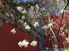 -潭柘寺景区