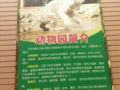 -广东茂名森林公园