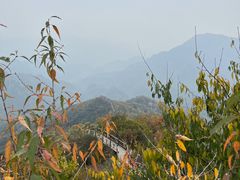-大岭沟猕猴桃谷风景区