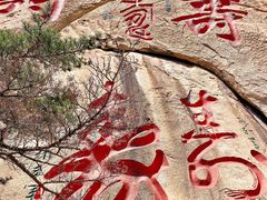 -崂山仰口游览区