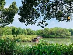 -西溪国家湿地公园